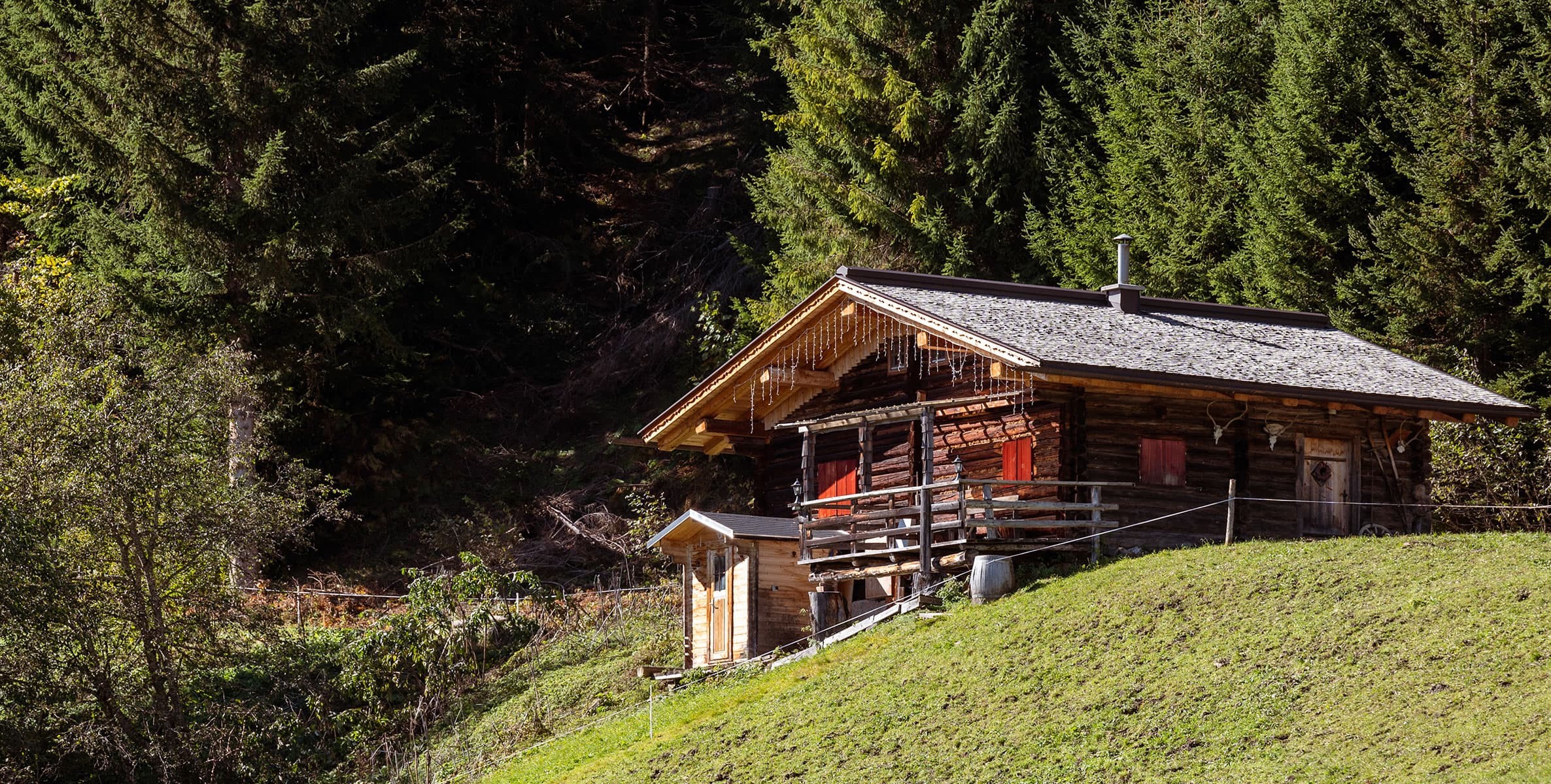 Großwildalm in Großarltal