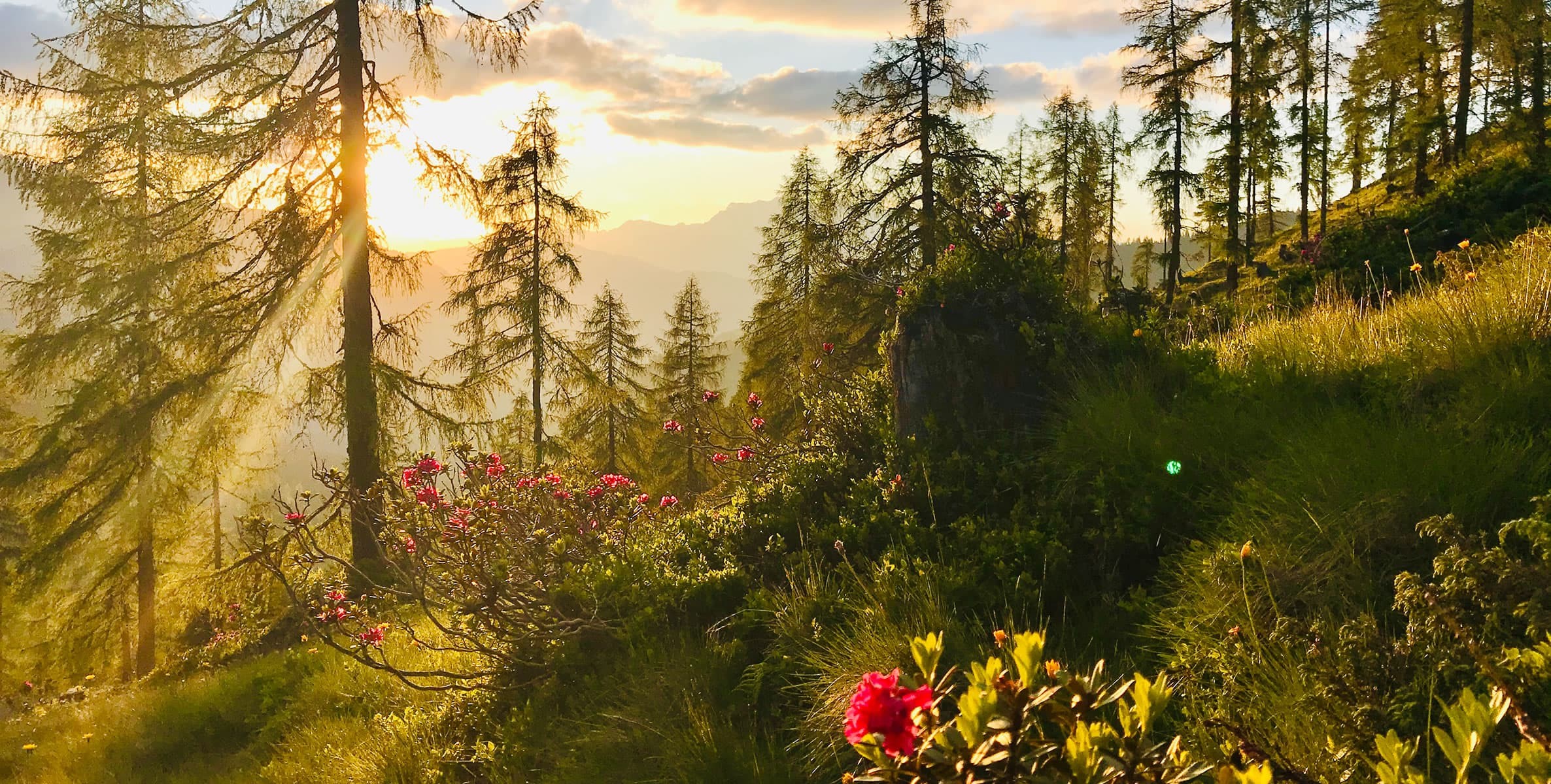 Almregion beim Sonnenuntergang