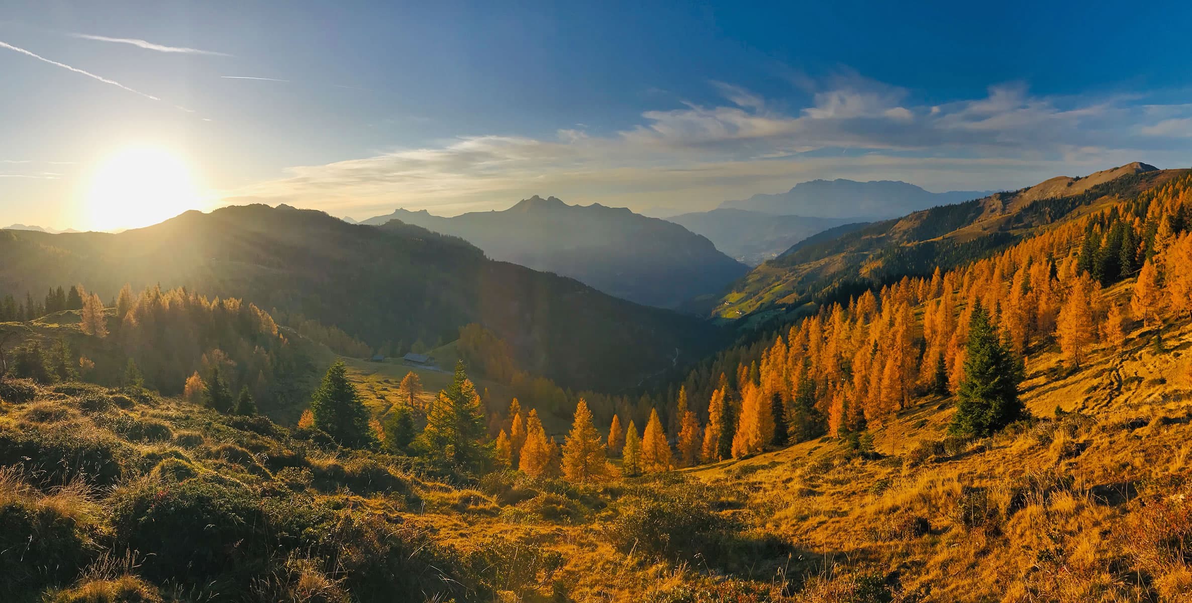 Gro&szlig;wildalm im Herbst