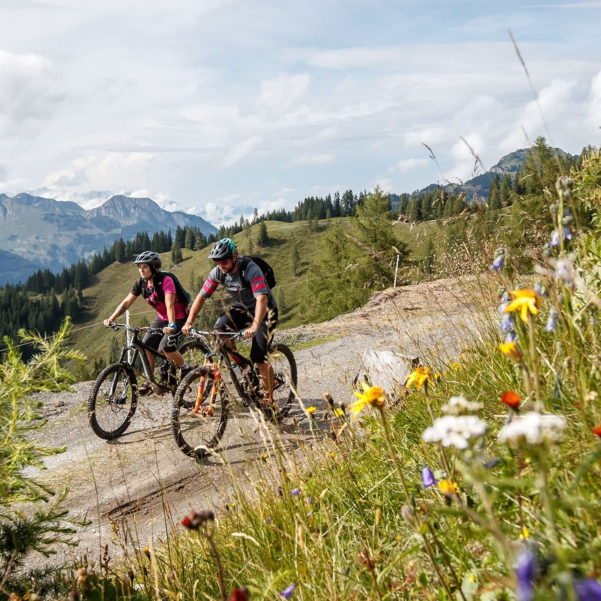 Mit dem Mountainbike oder E-Bike auf die Alm