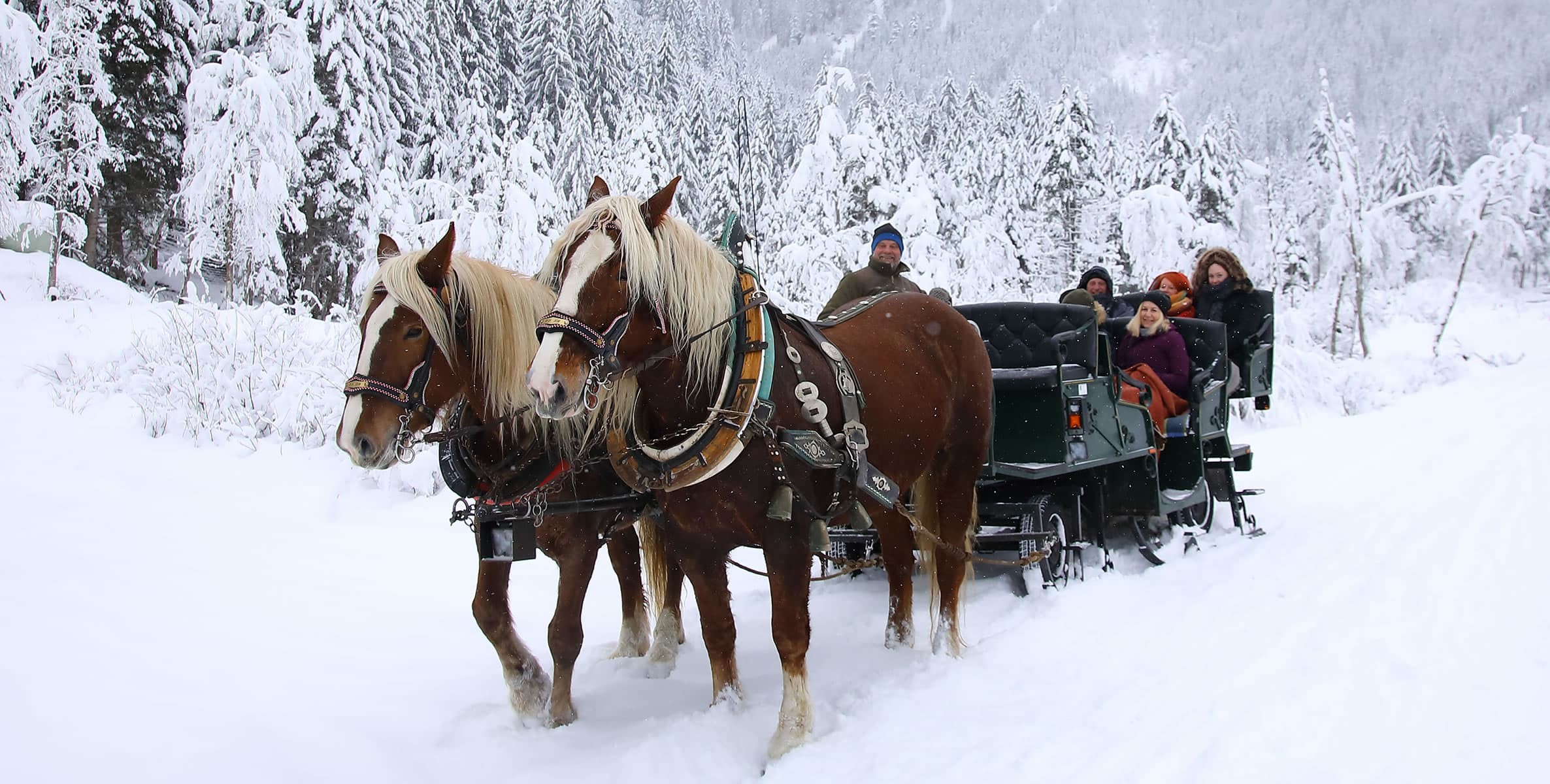 Romantische Pferdekutschenfahrten