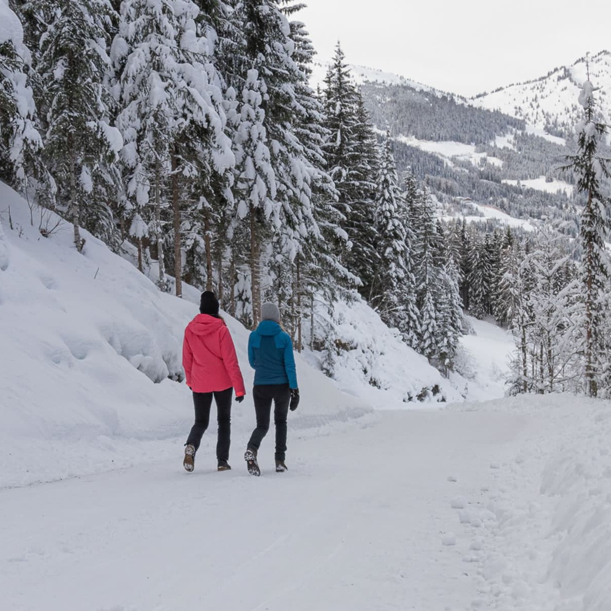 Winterwandern auf bestens geräumten Wegen
